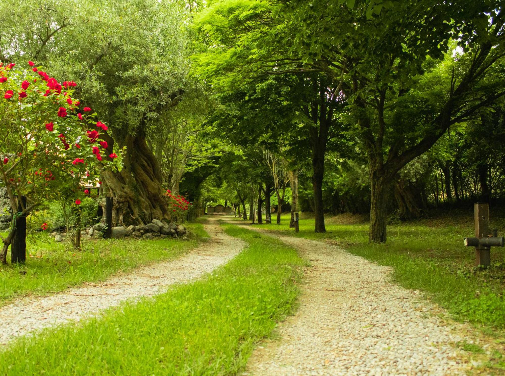 Vakantieboerderij La Del Parco