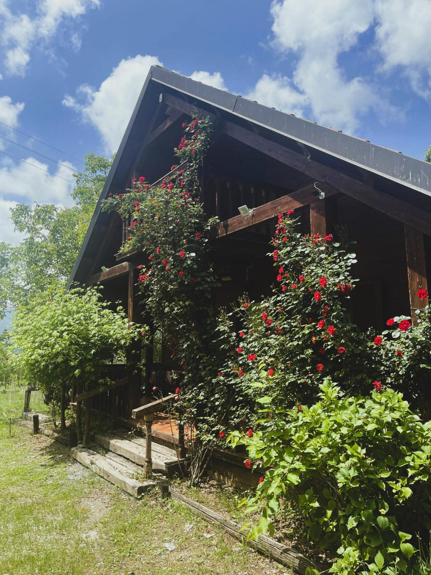 Vakantieboerderij La Del Parco Morano Calabro