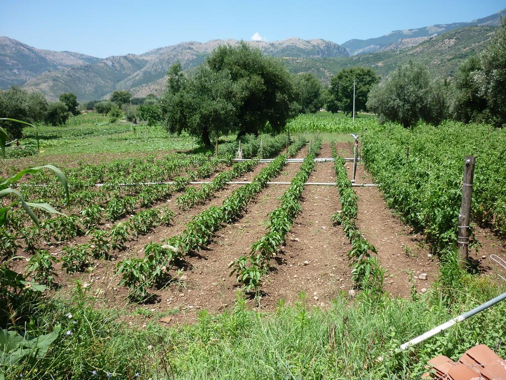 Farm stay Agriturismo La Locanda Del Parco *